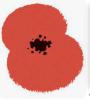 Annual Poppy Appeal Launch